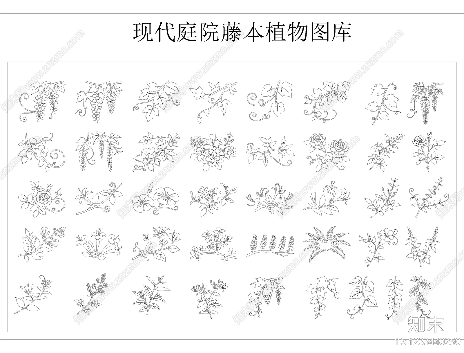 攀援植物CAD图纸