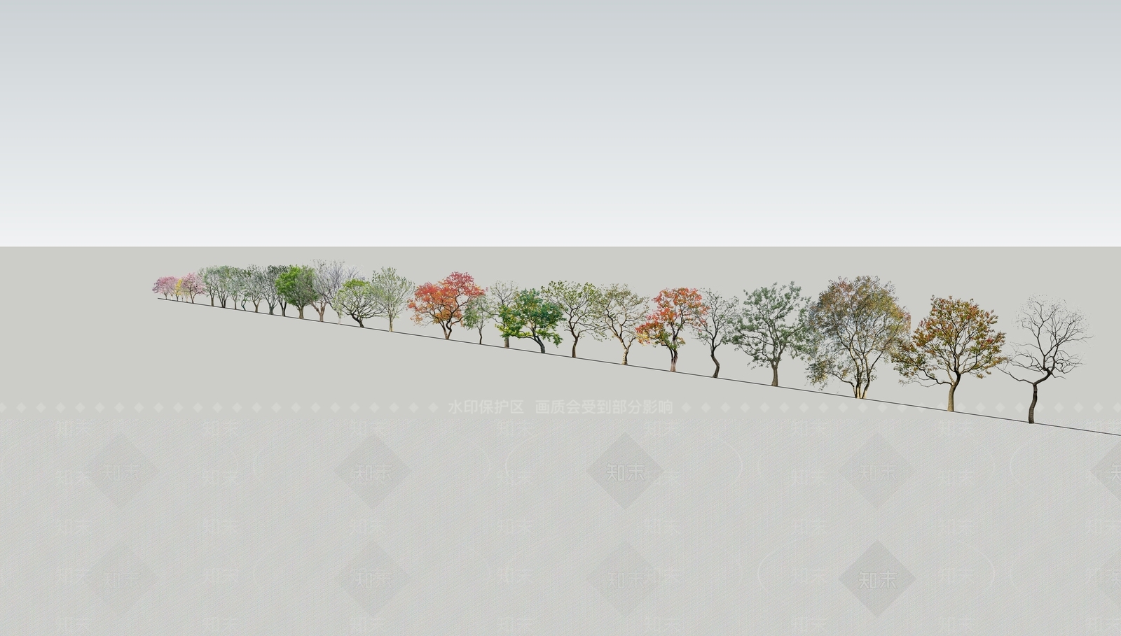 极简乔木2dSU模型下载【ID:1233455352】