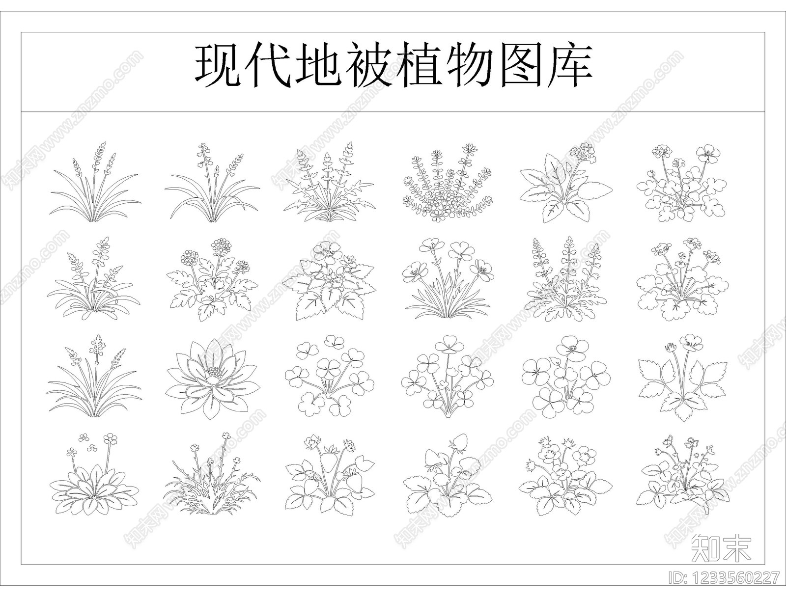 地被种植CAD图纸