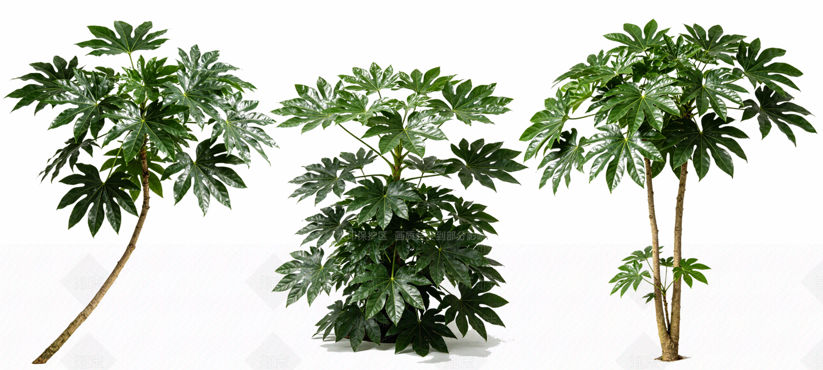 灌木SU模型下载【ID:1233653412】