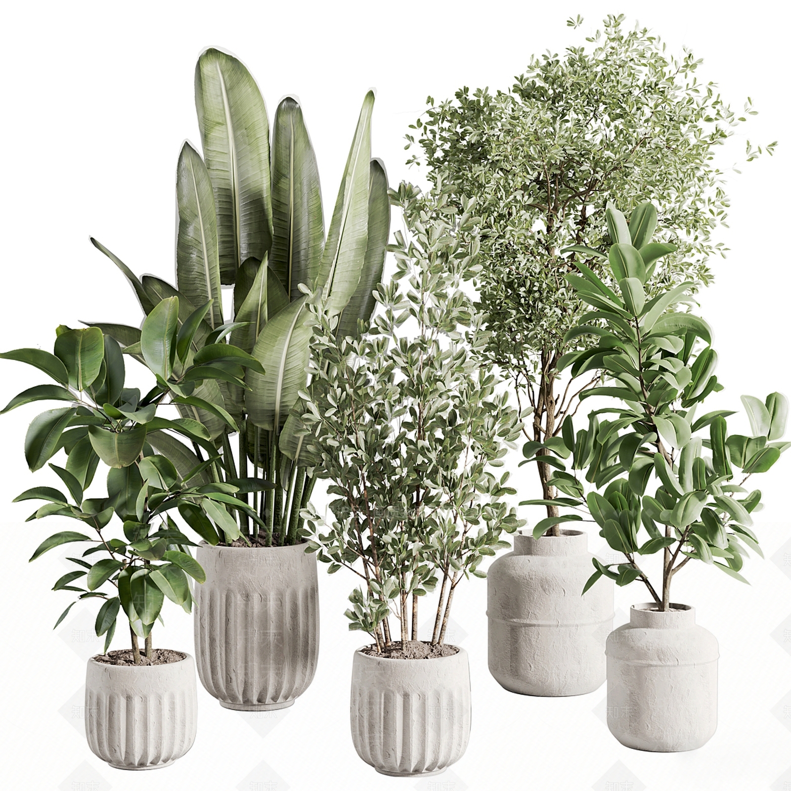 侘寂盆栽3D模型下载【ID:1233655980】