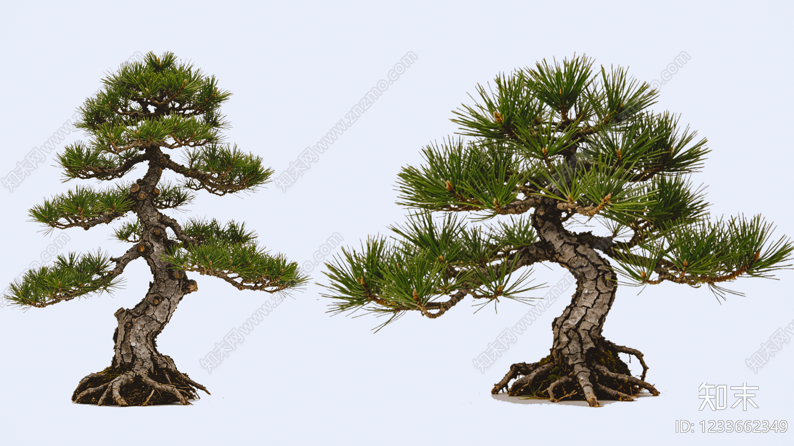 日式盆栽SU模型下载【ID:1233662349】