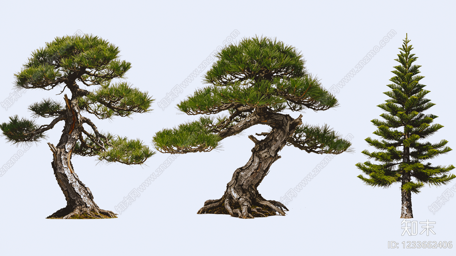 禅意乔木SU模型下载【ID:1233662406】