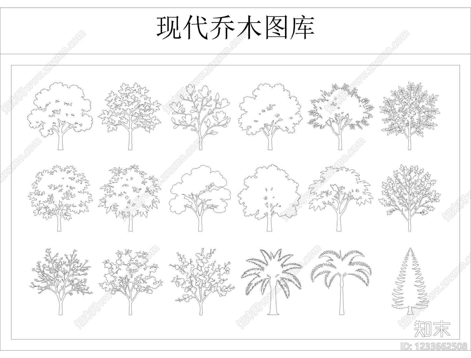 乔木种植CAD图纸