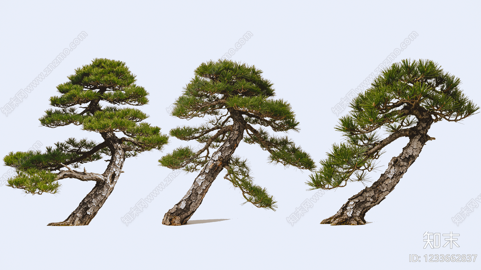 禅意盆栽SU模型下载【ID:1233662837】