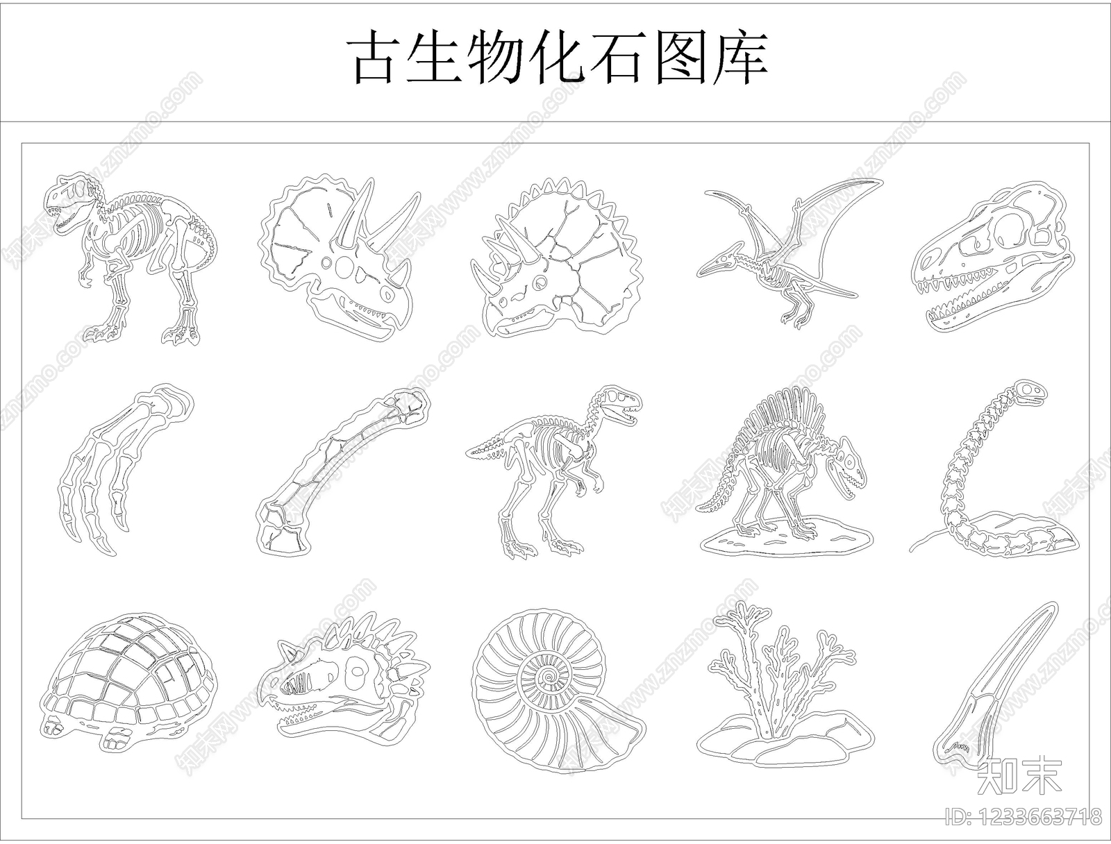 动物cad施工图下载【ID:1233663718】