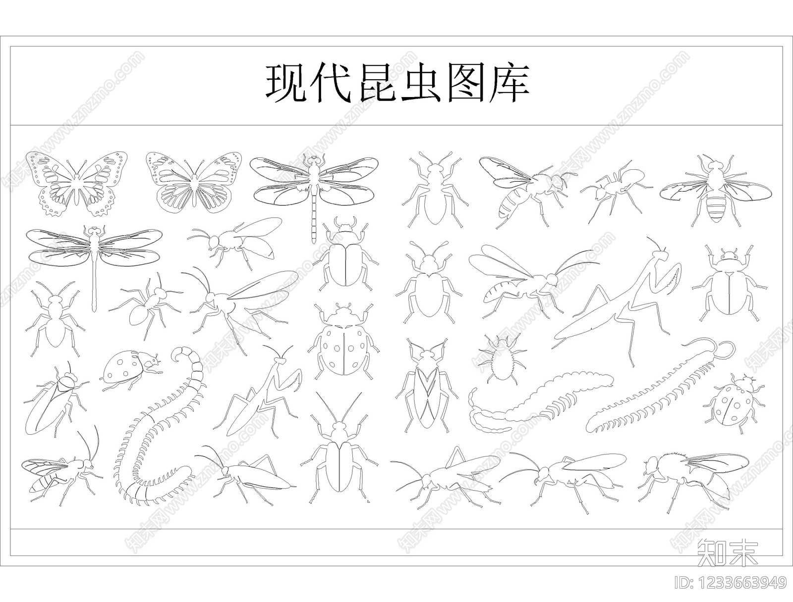 动物CAD图纸