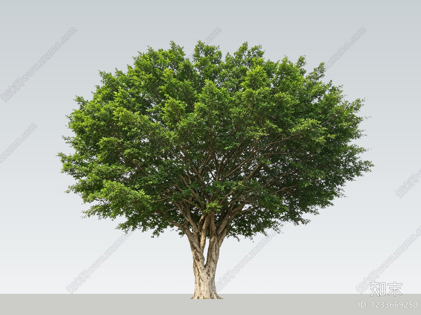 乔木SU模型下载【ID:1233669250】