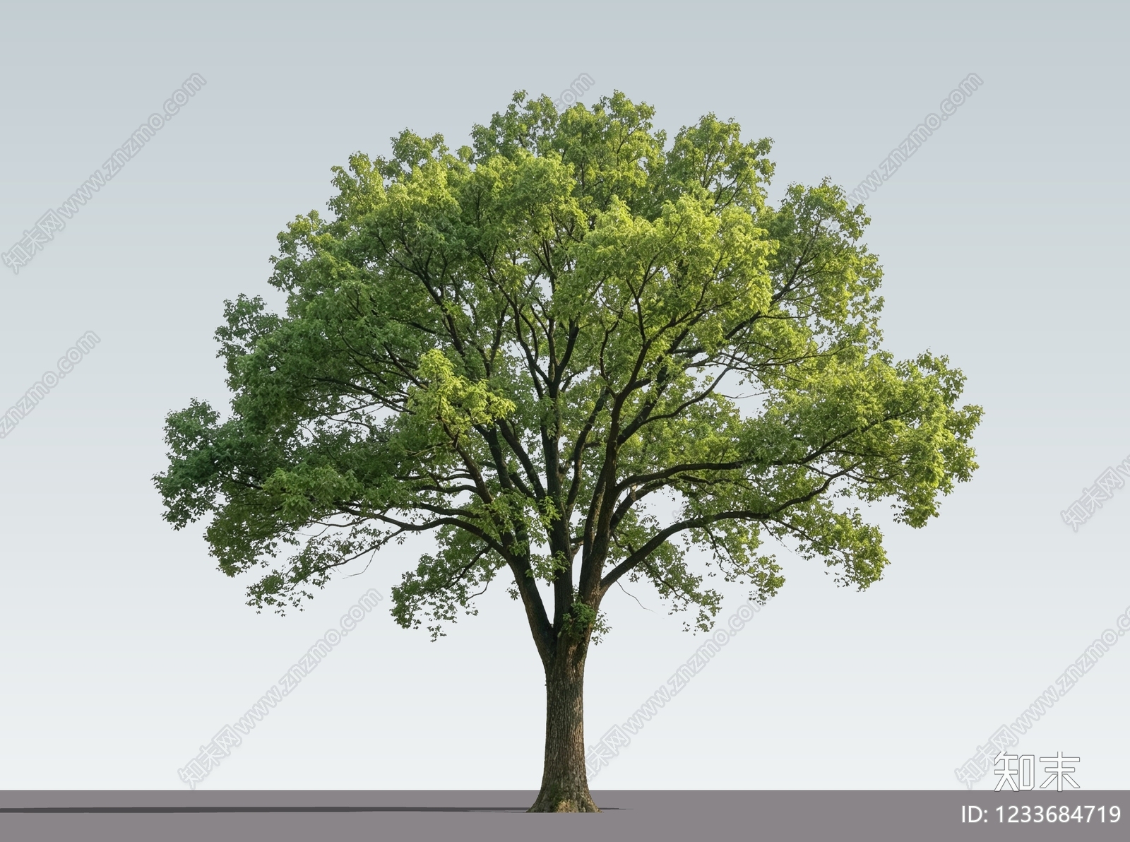 乔木SU模型下载【ID:1233684719】
