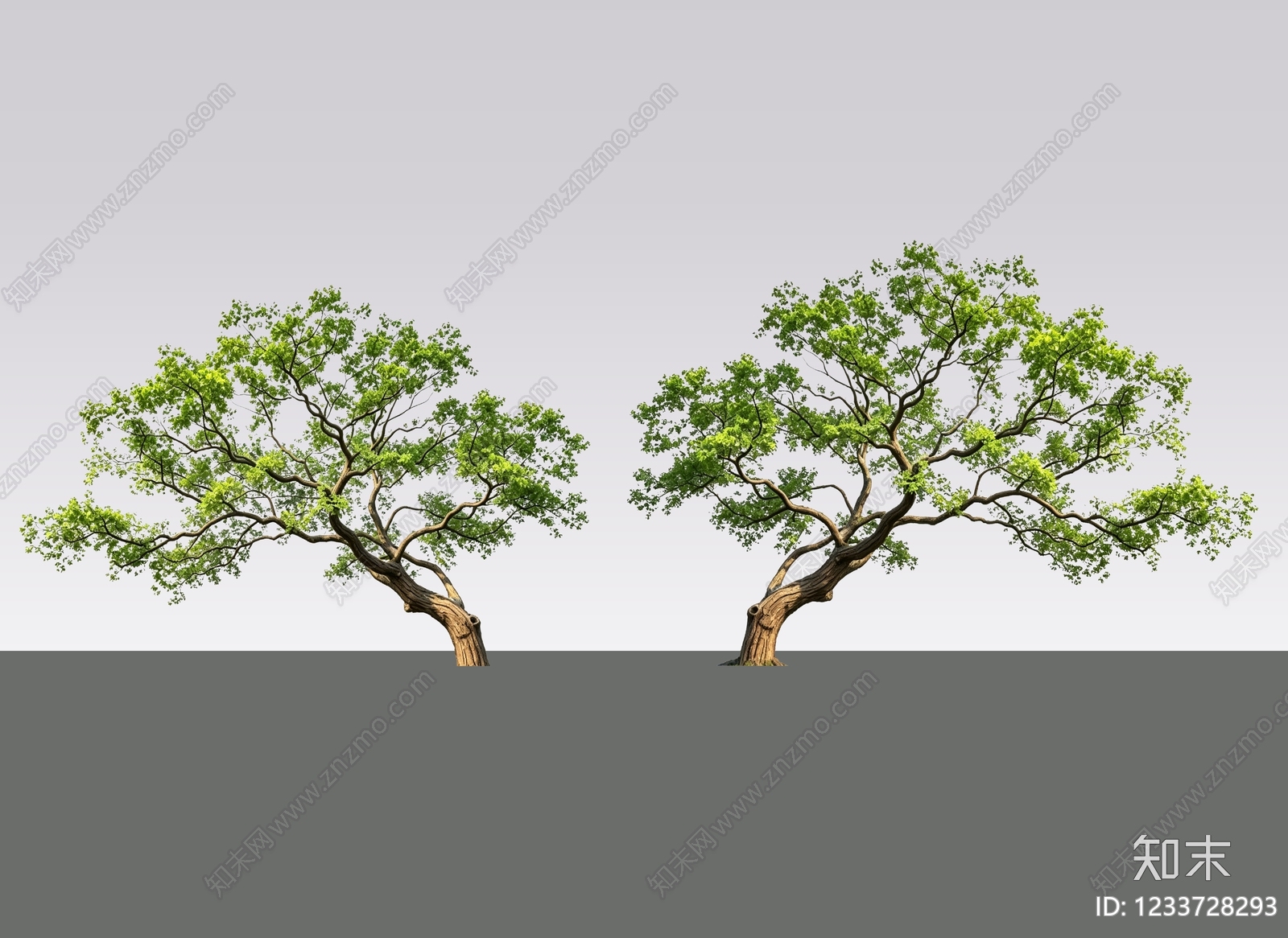 新中式景观乔木SU模型下载【ID:1233728293】