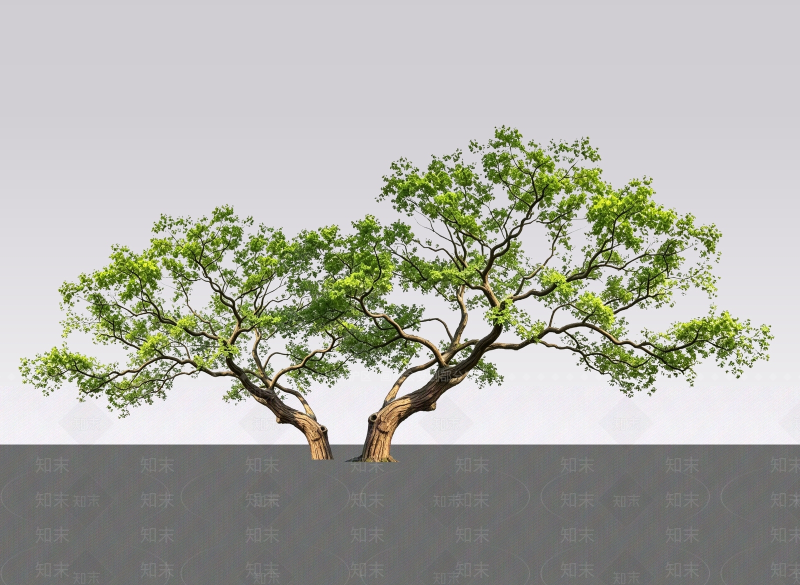 新中式景观乔木SU模型下载【ID:1233728293】