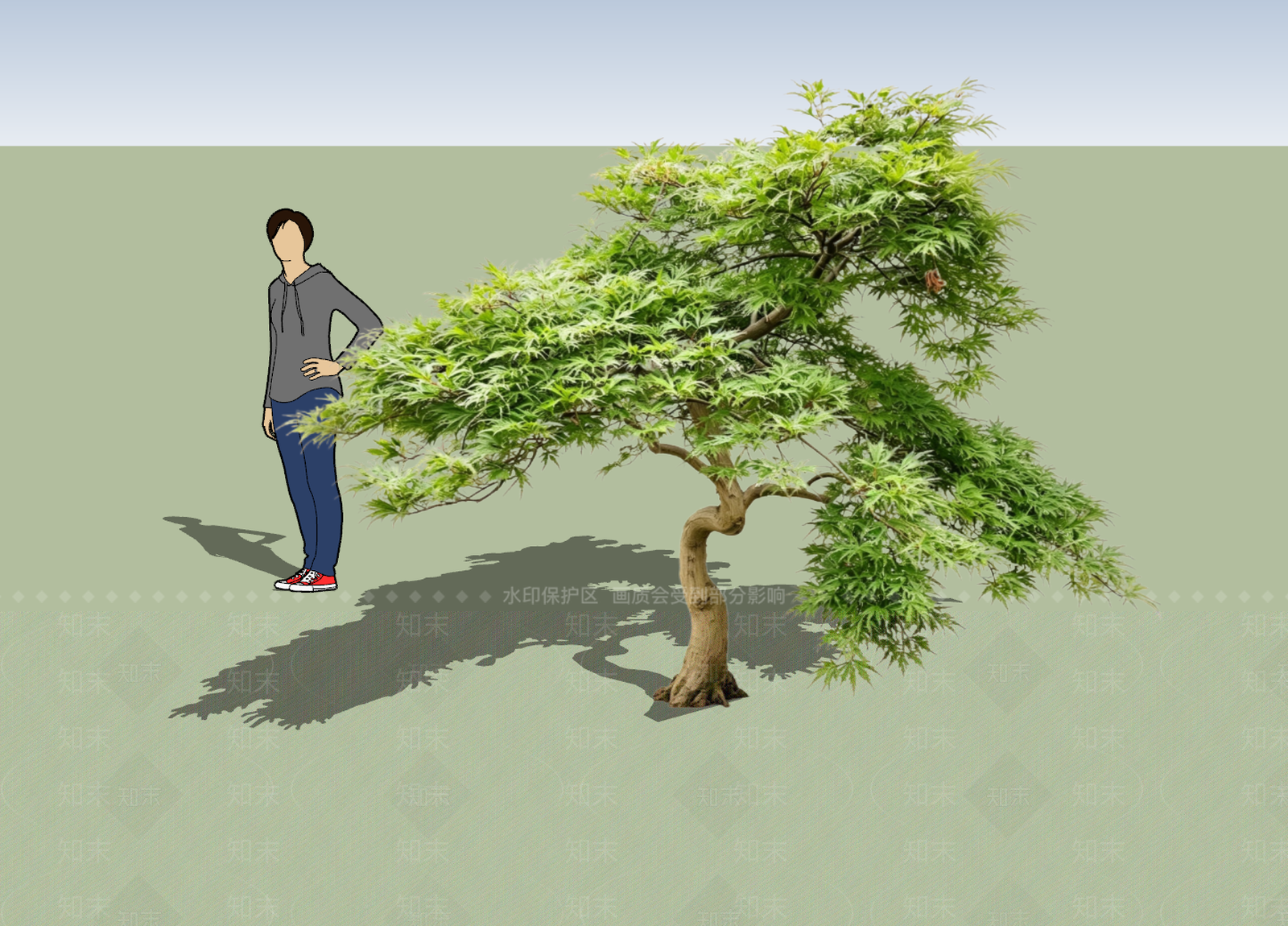 日式乔木SU模型下载【ID:1233733764】