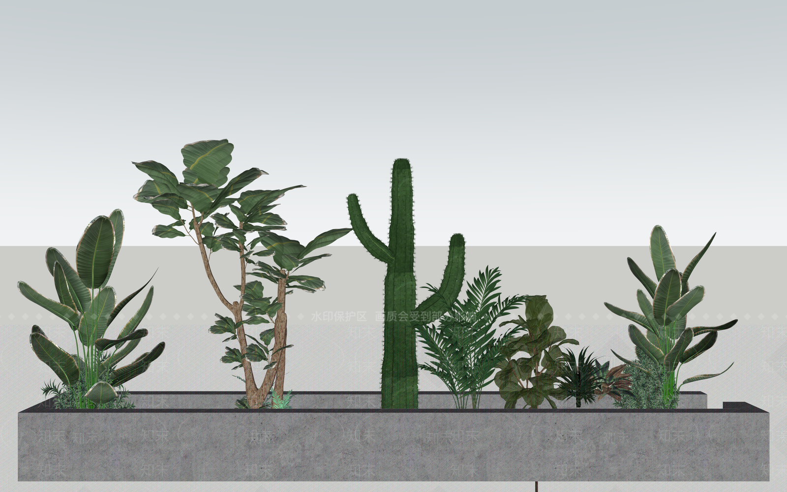 现代植物组合SU模型下载【ID:1233745772】