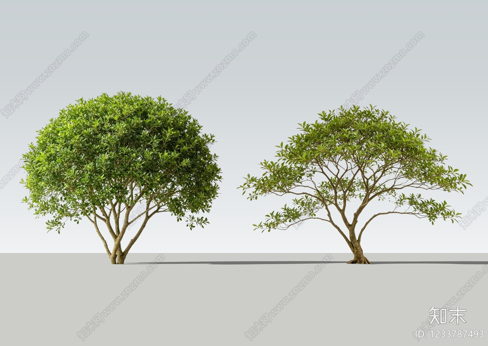 灌木SU模型下载【ID:1233787493】