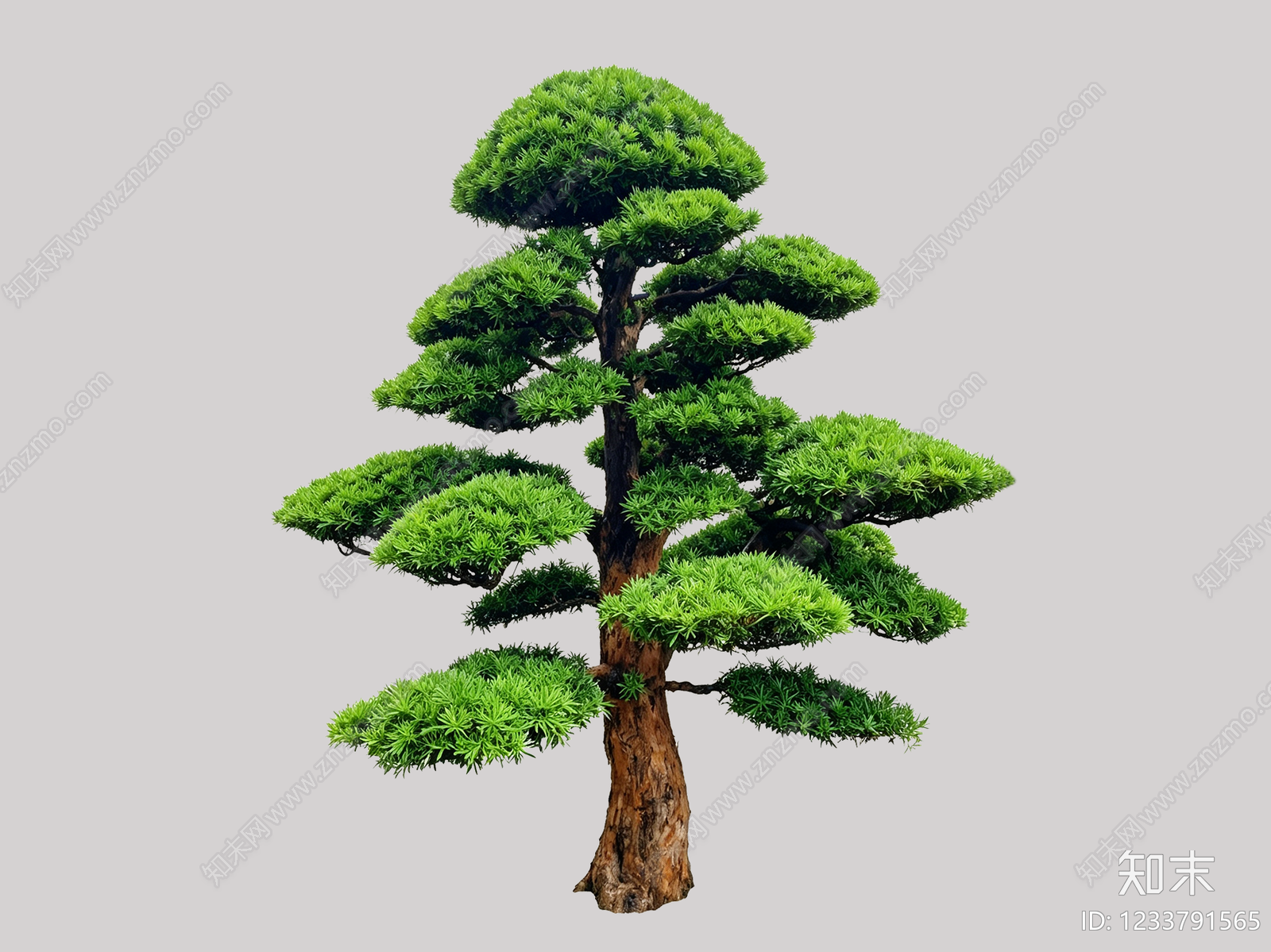 禅意乔木SU模型下载【ID:1233791565】