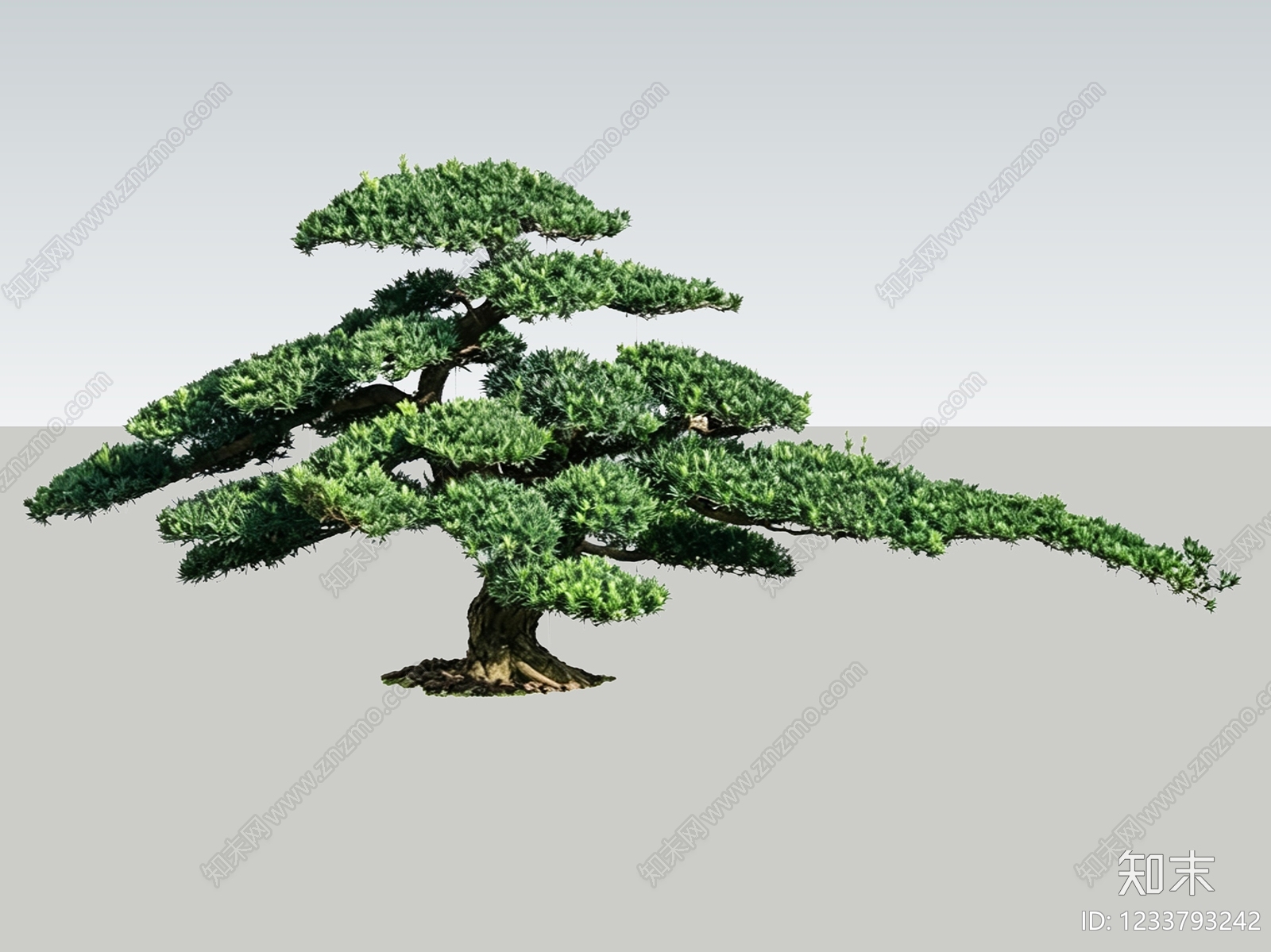 禅意盆栽SU模型下载【ID:1233793242】