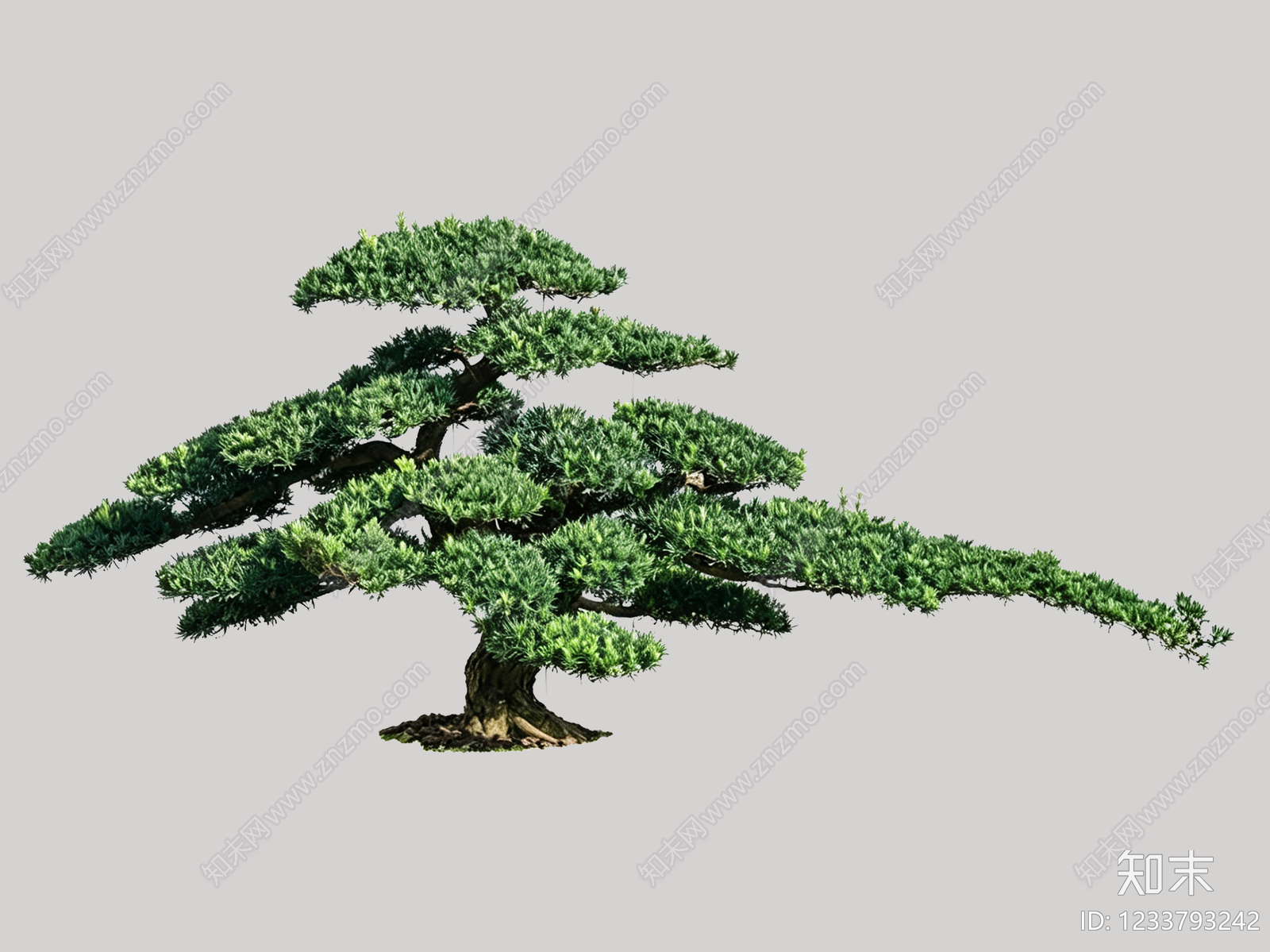 禅意盆栽SU模型下载【ID:1233793242】