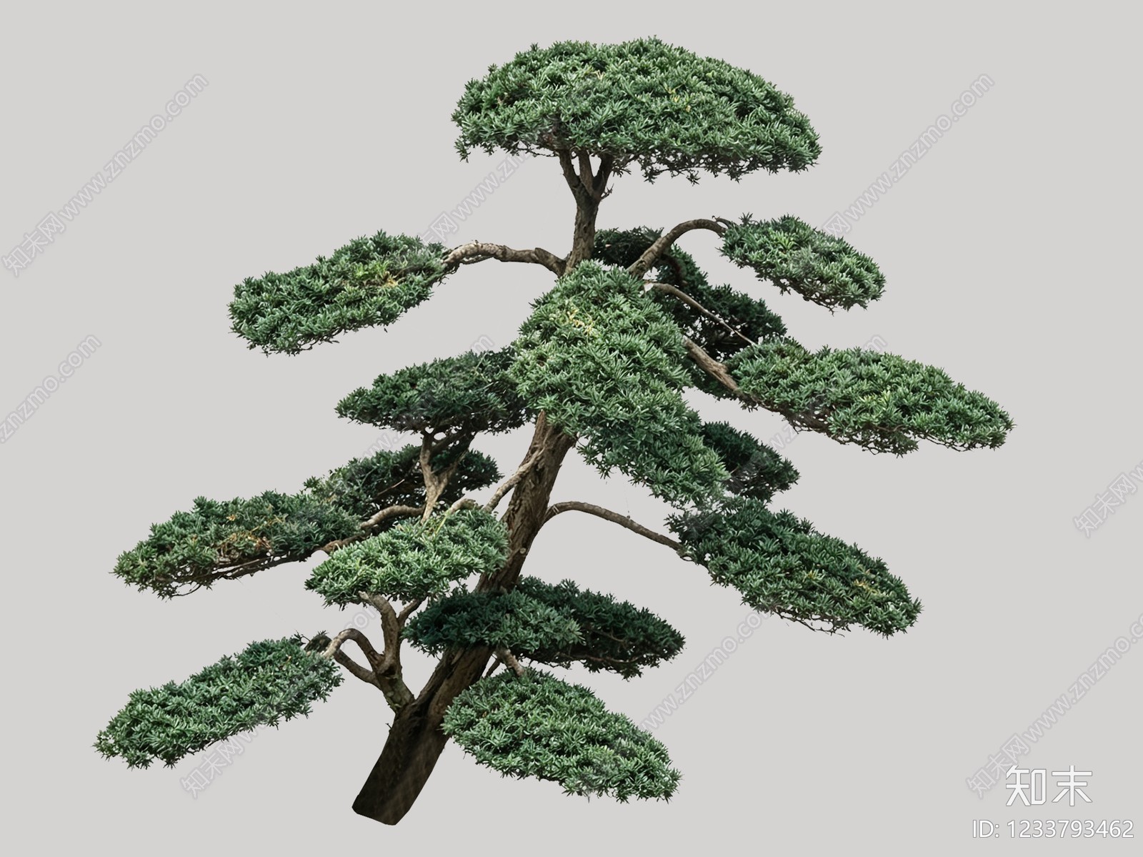 禅意盆栽SU模型下载【ID:1233793462】