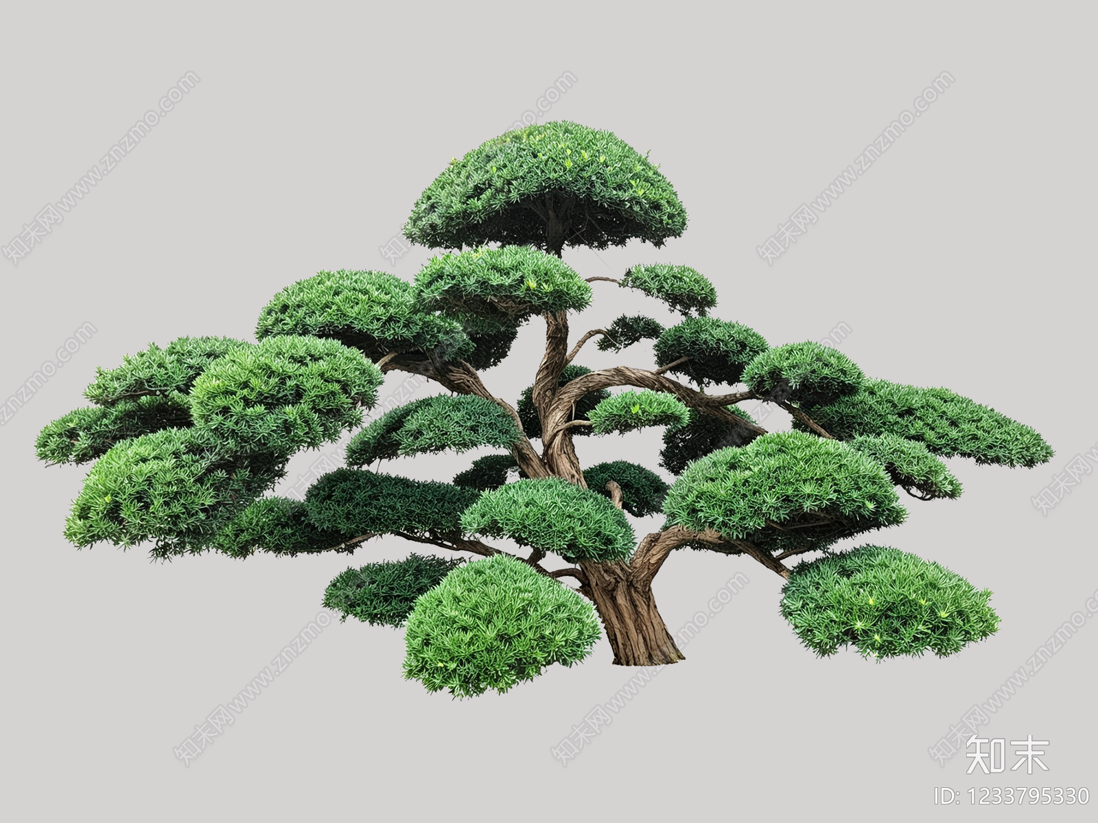 禅意乔木SU模型下载【ID:1233795330】