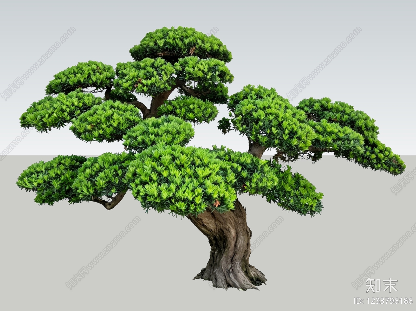 禅意盆栽SU模型下载【ID:1233796186】