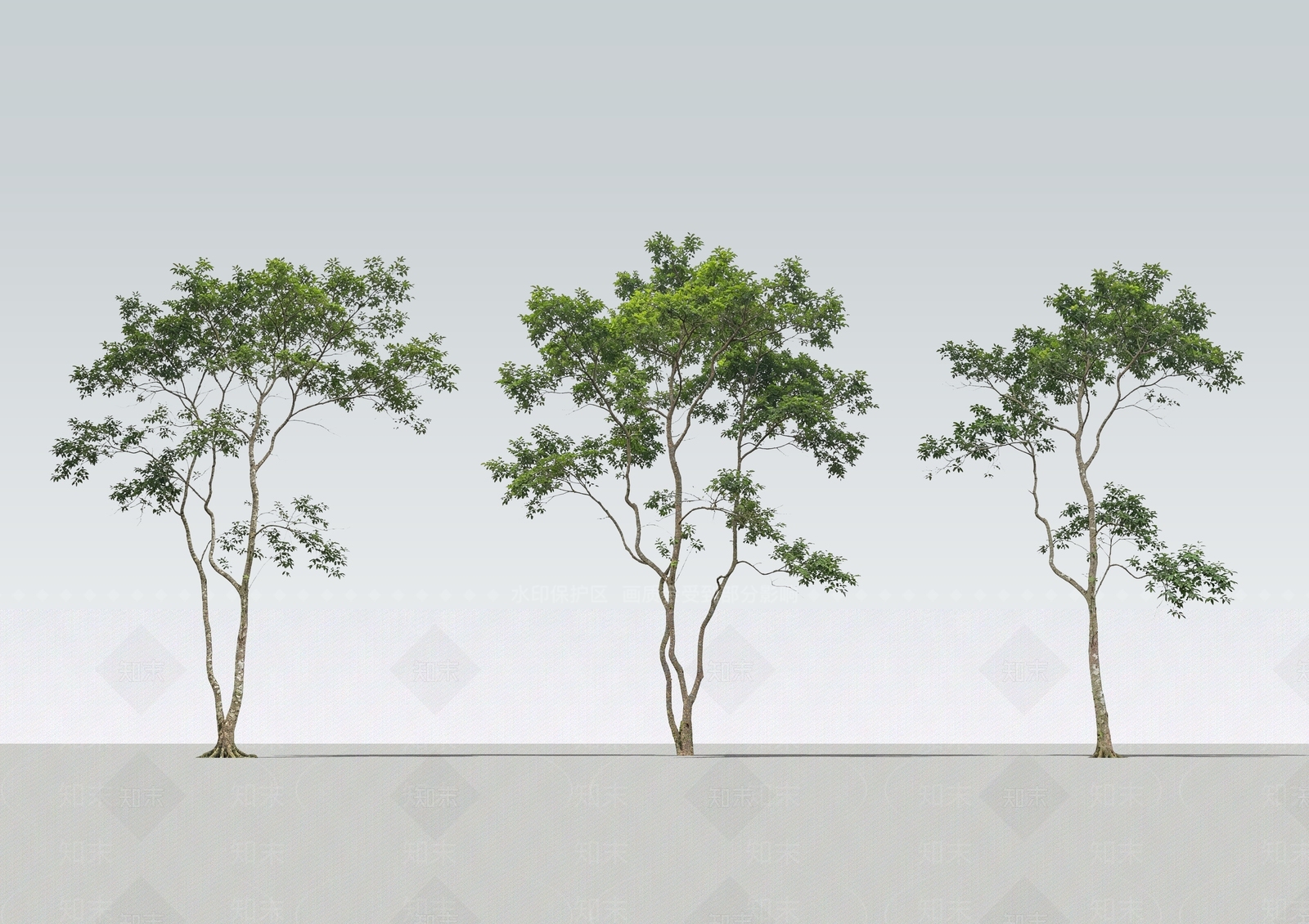 极简乔木SU模型下载【ID:1233823108】