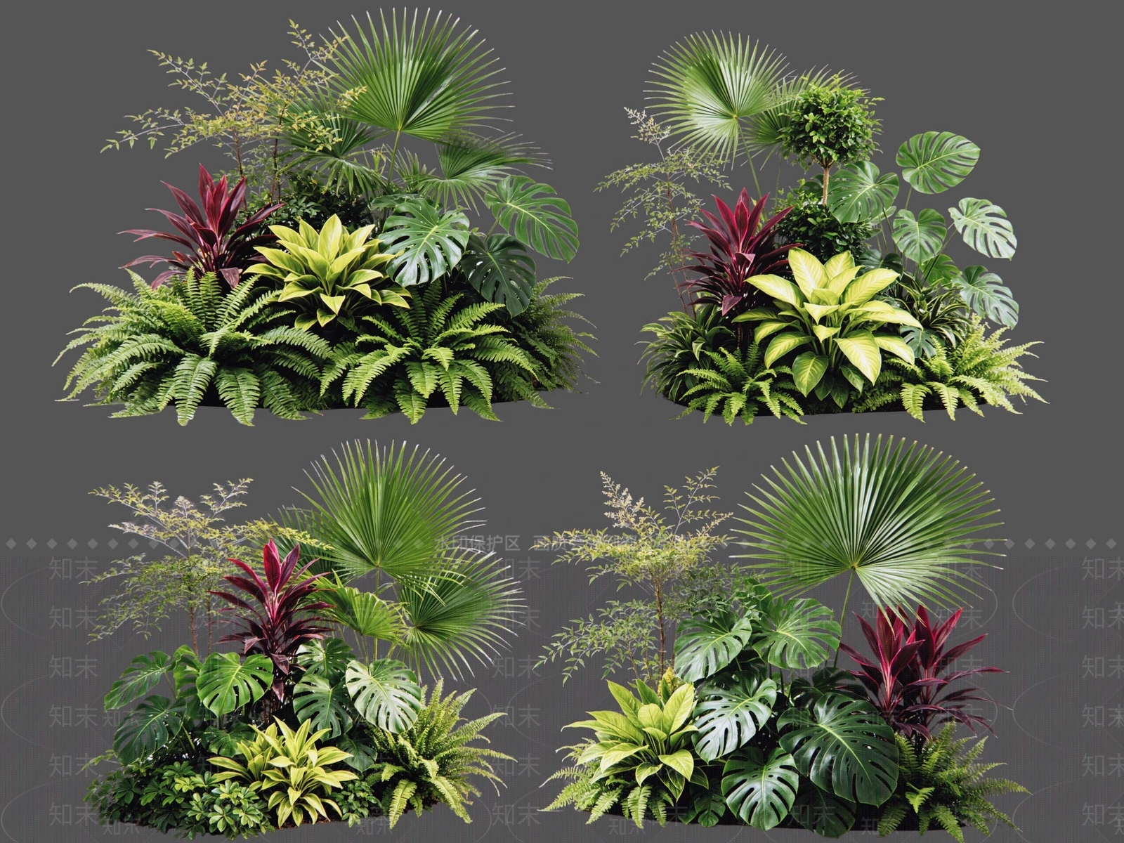 热带景观花境SU模型下载【ID:1233824215】