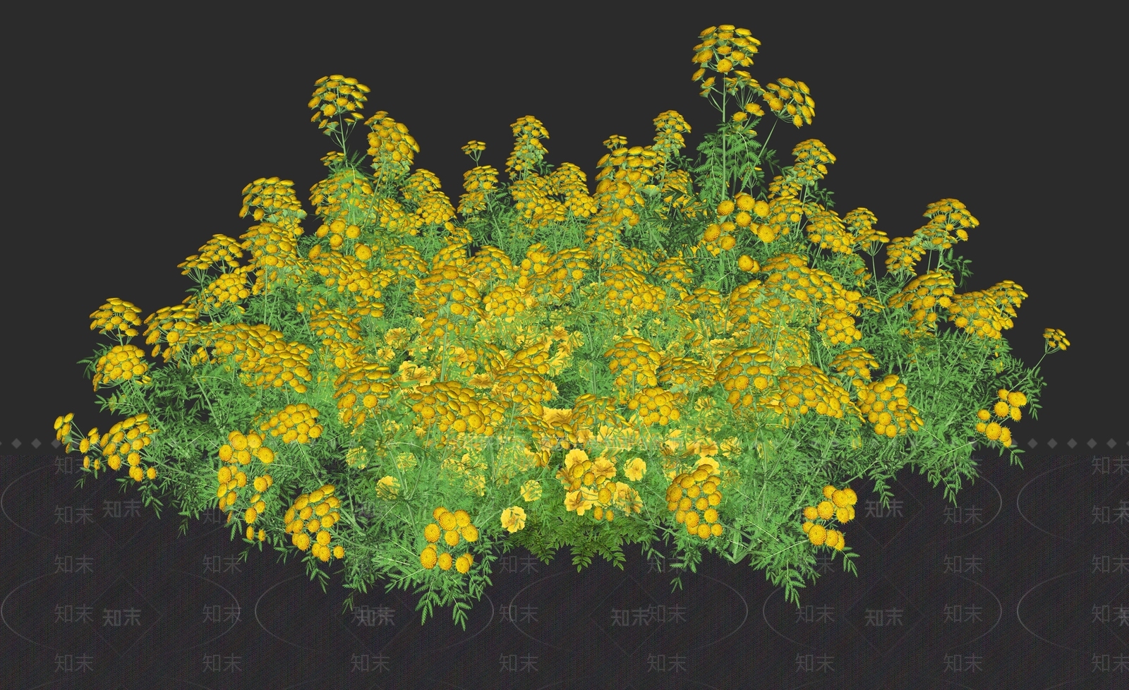 花草SU模型下载【ID:1233846034】
