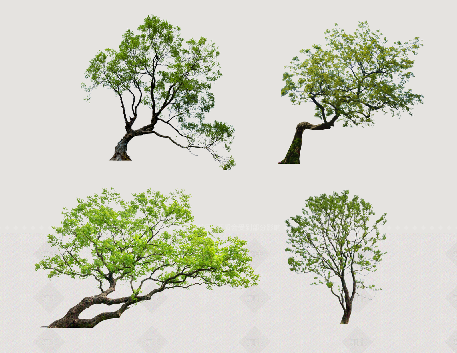 新中式景观乔木SU模型下载【ID:1233859374】
