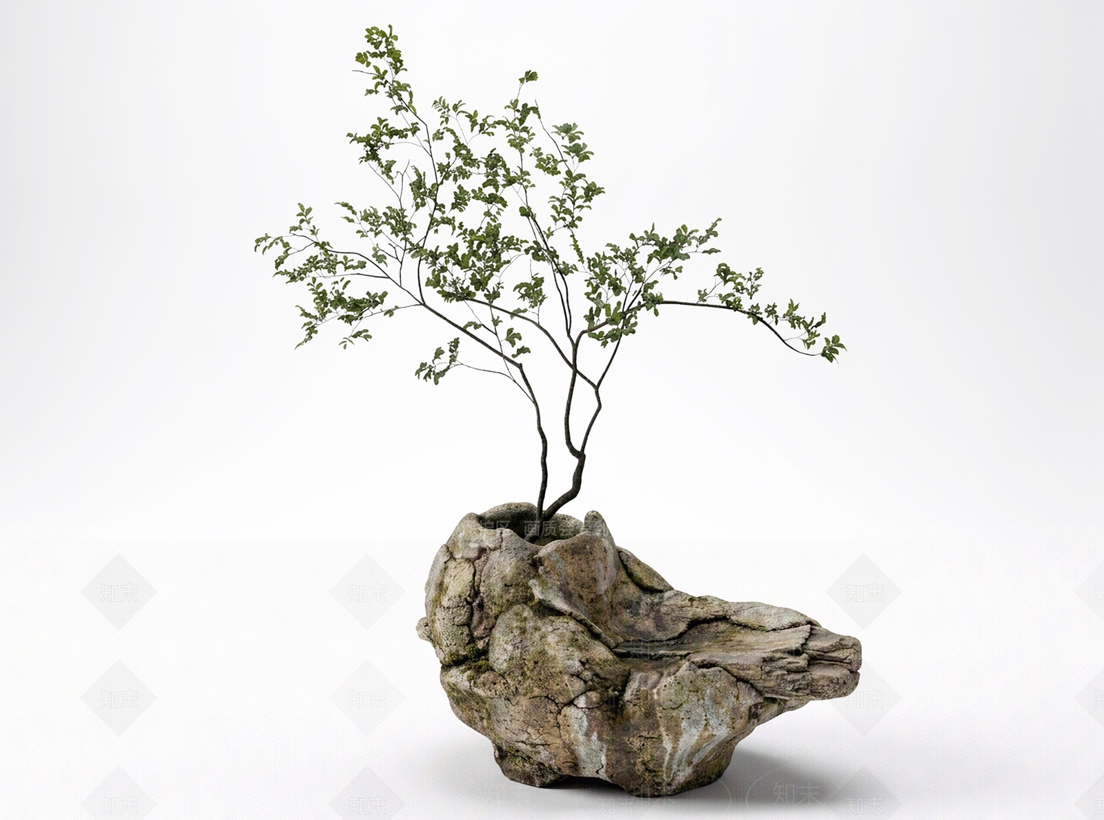 禅意盆景3D模型下载【ID:1233859825】