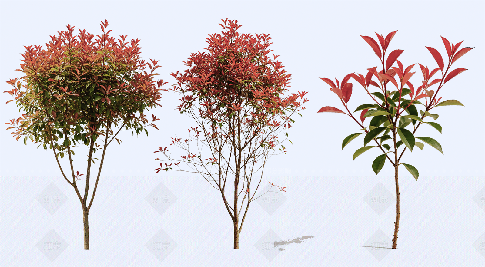 灌木SU模型下载【ID:1233861048】