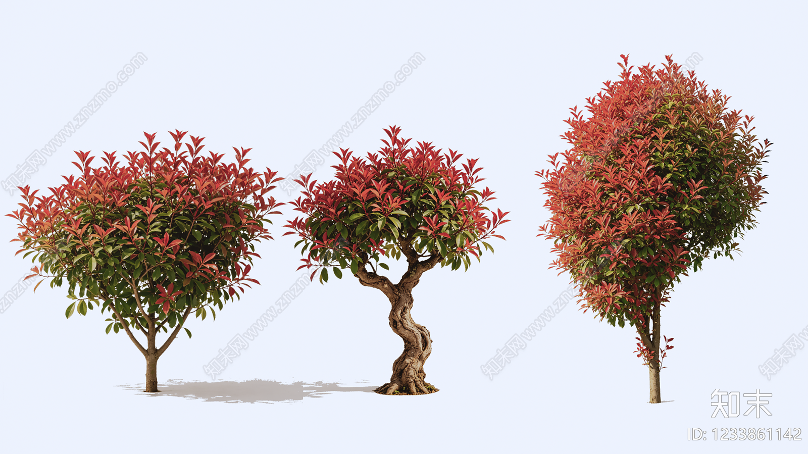 灌木SU模型下载【ID:1233861142】