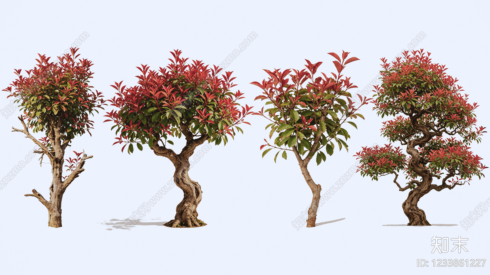 中式灌木SU模型下载【ID:1233861227】