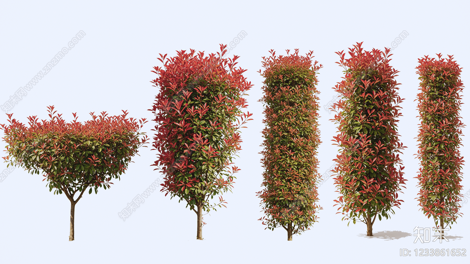 灌木SU模型草图