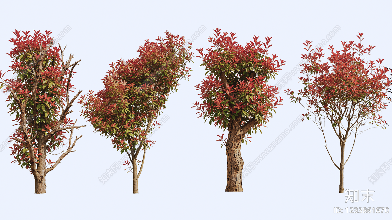 灌木SU模型下载【ID:1233861670】