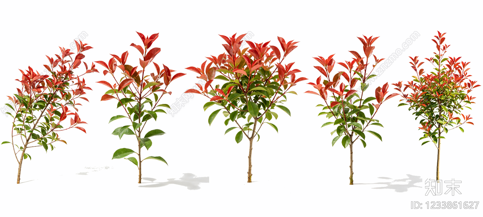 灌木SU模型下载【ID:1233861627】