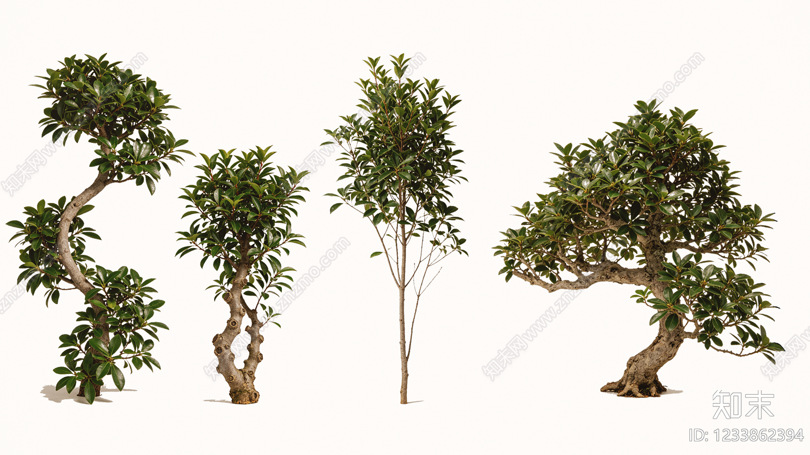 禅意盆栽SU模型下载【ID:1233862394】