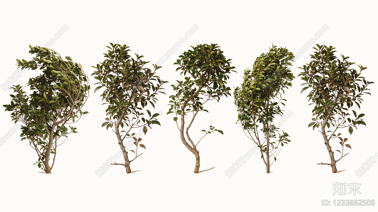 灌木SU模型下载【ID:1233862509】