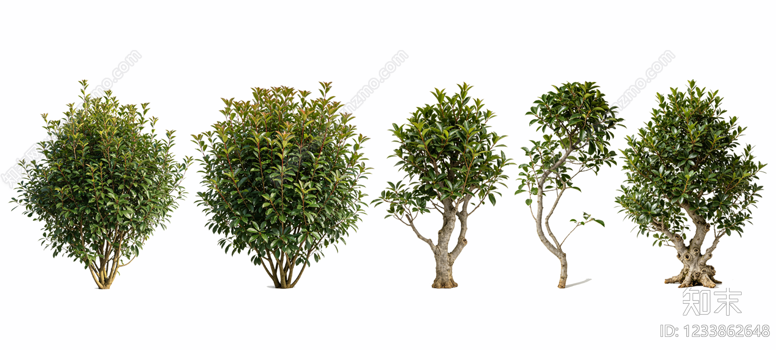 新中式景观灌木SU模型下载【ID:1233862648】