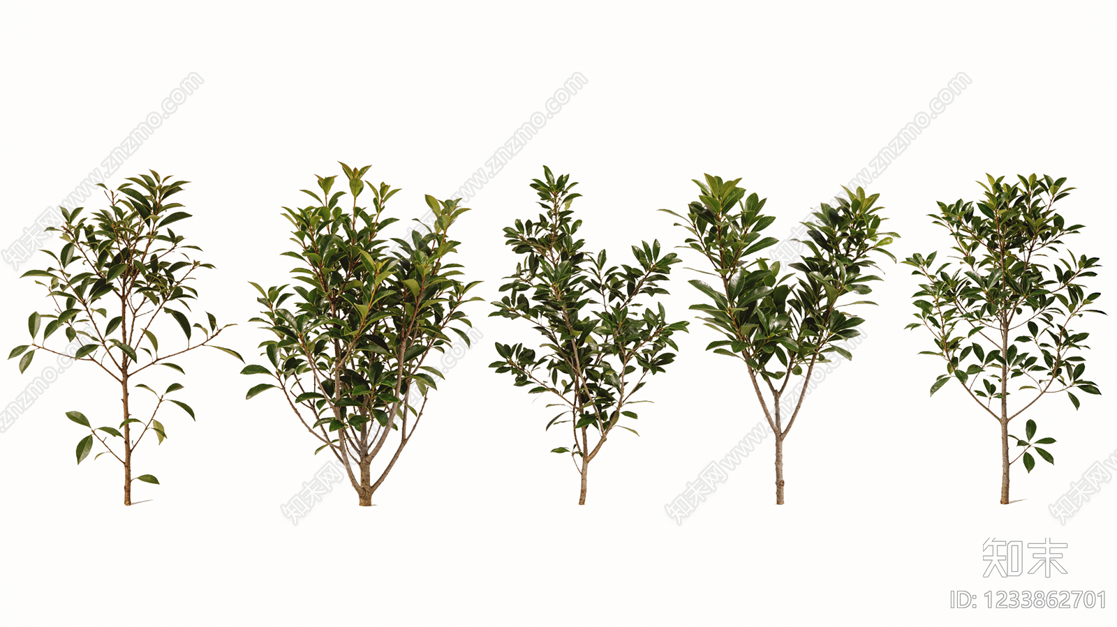 乔木SU模型下载【ID:1233862701】