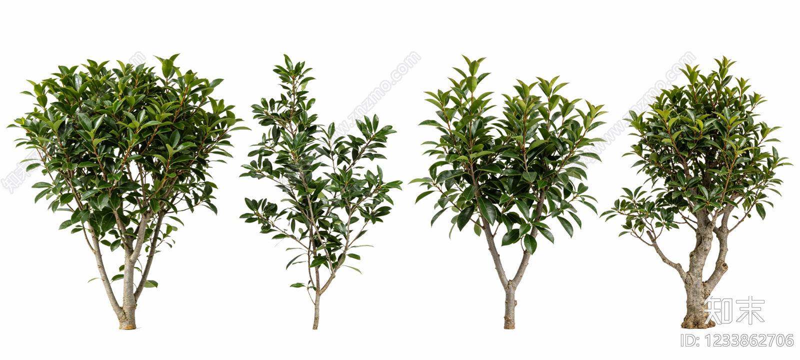 乔木SU模型下载【ID:1233862706】