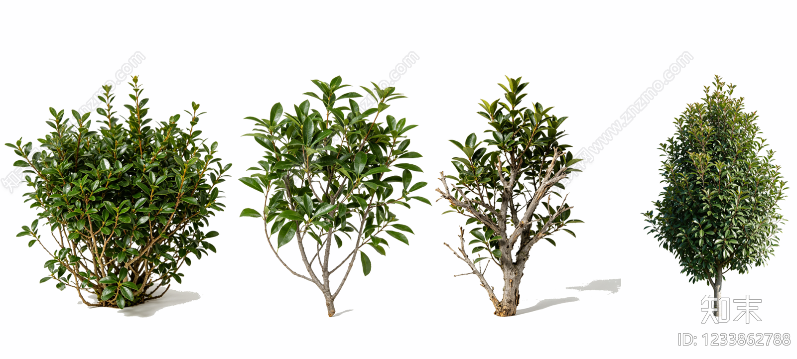 植物组合SU模型下载【ID:1233862788】