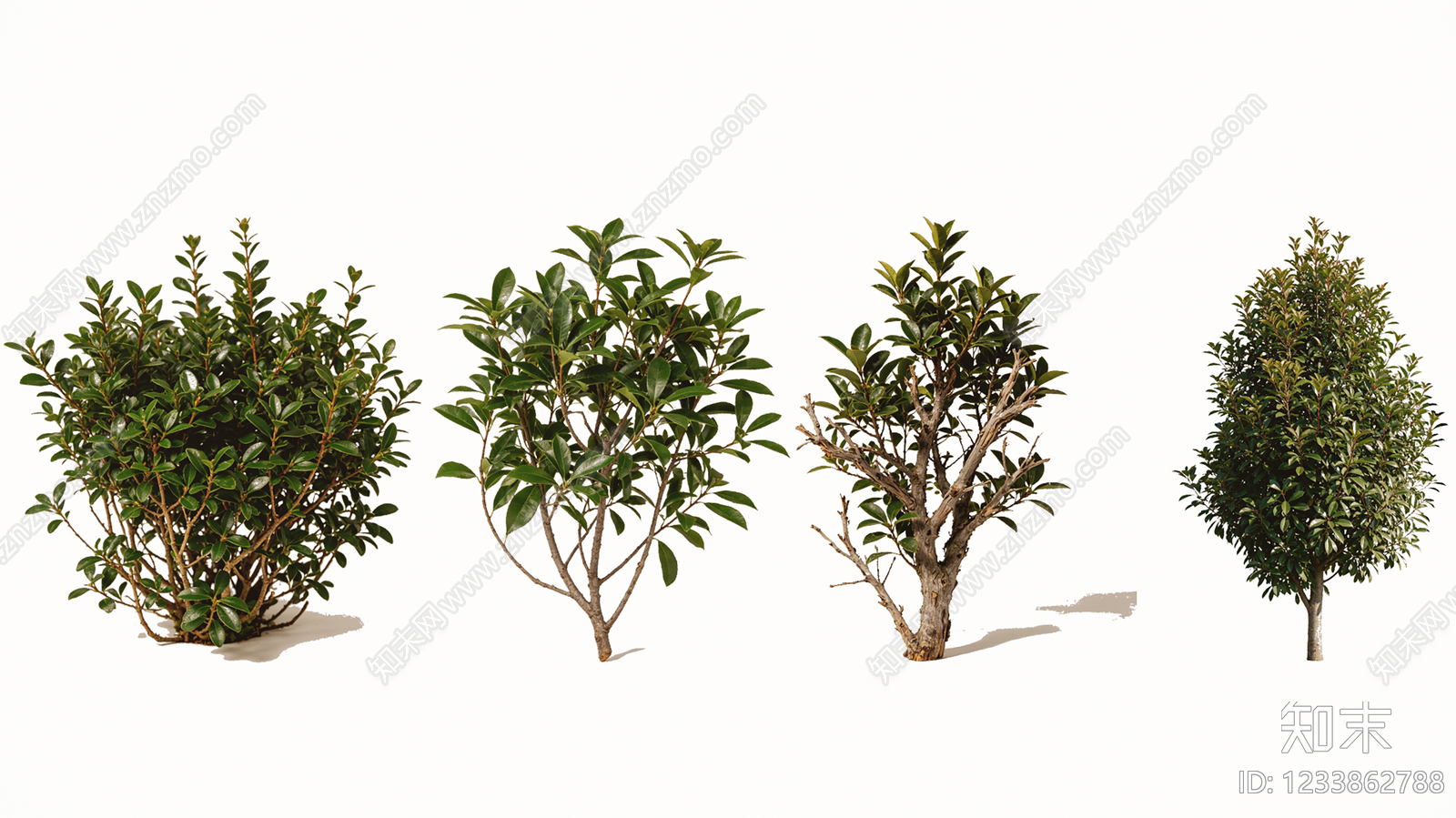 植物组合SU模型下载【ID:1233862788】
