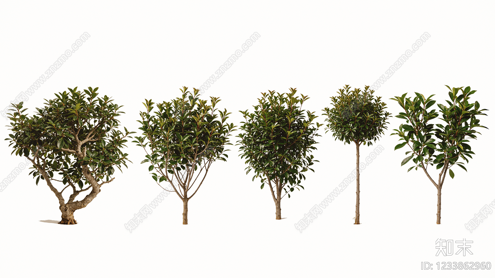 灌木SU模型下载【ID:1233862960】