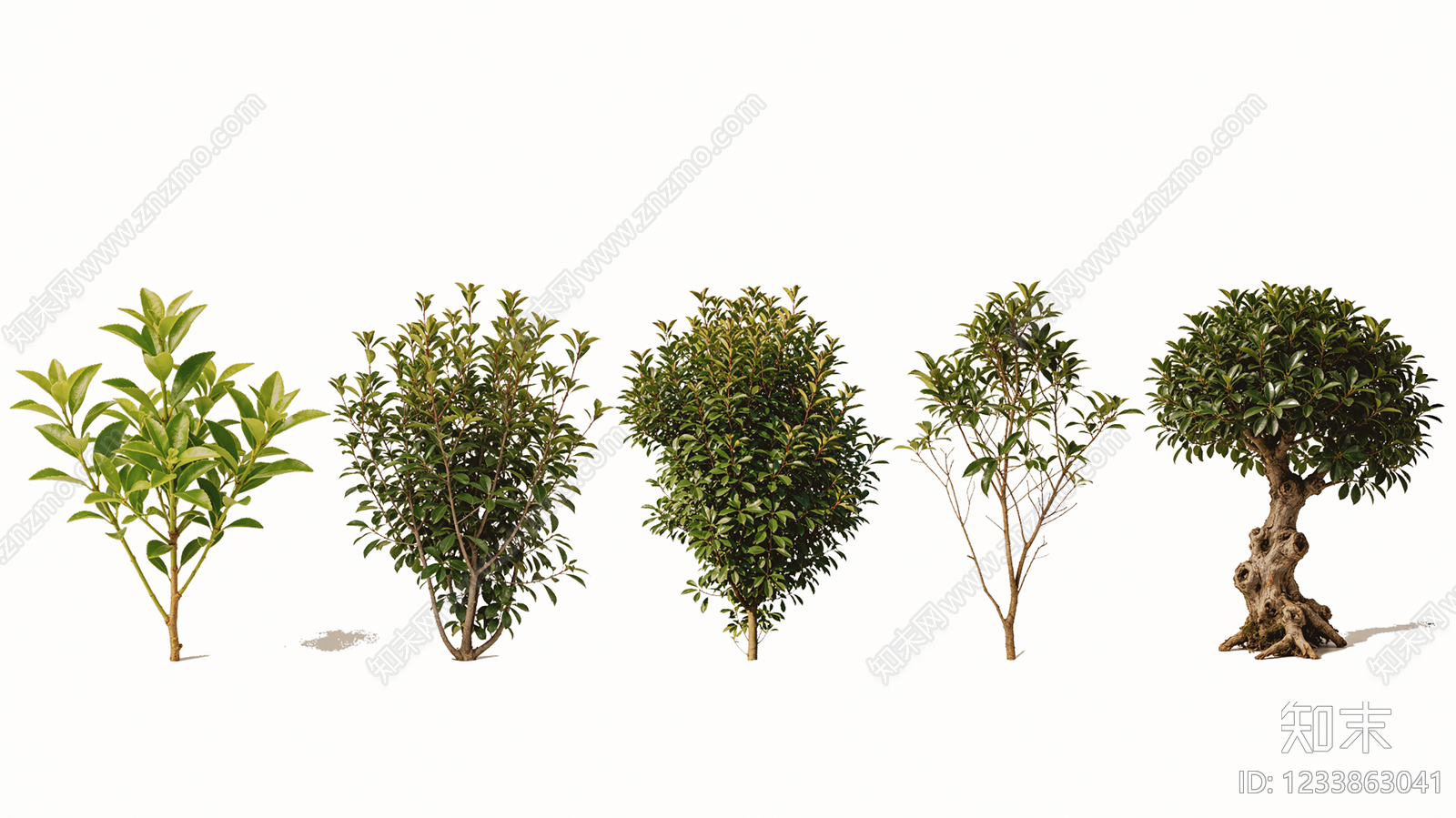 新中式灌木SU模型下载【ID:1233863041】