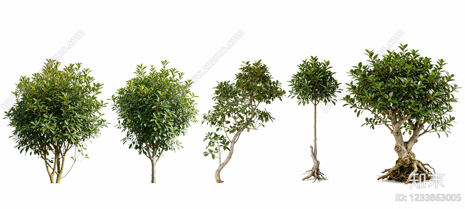 灌木SU模型下载【ID:1233863005】
