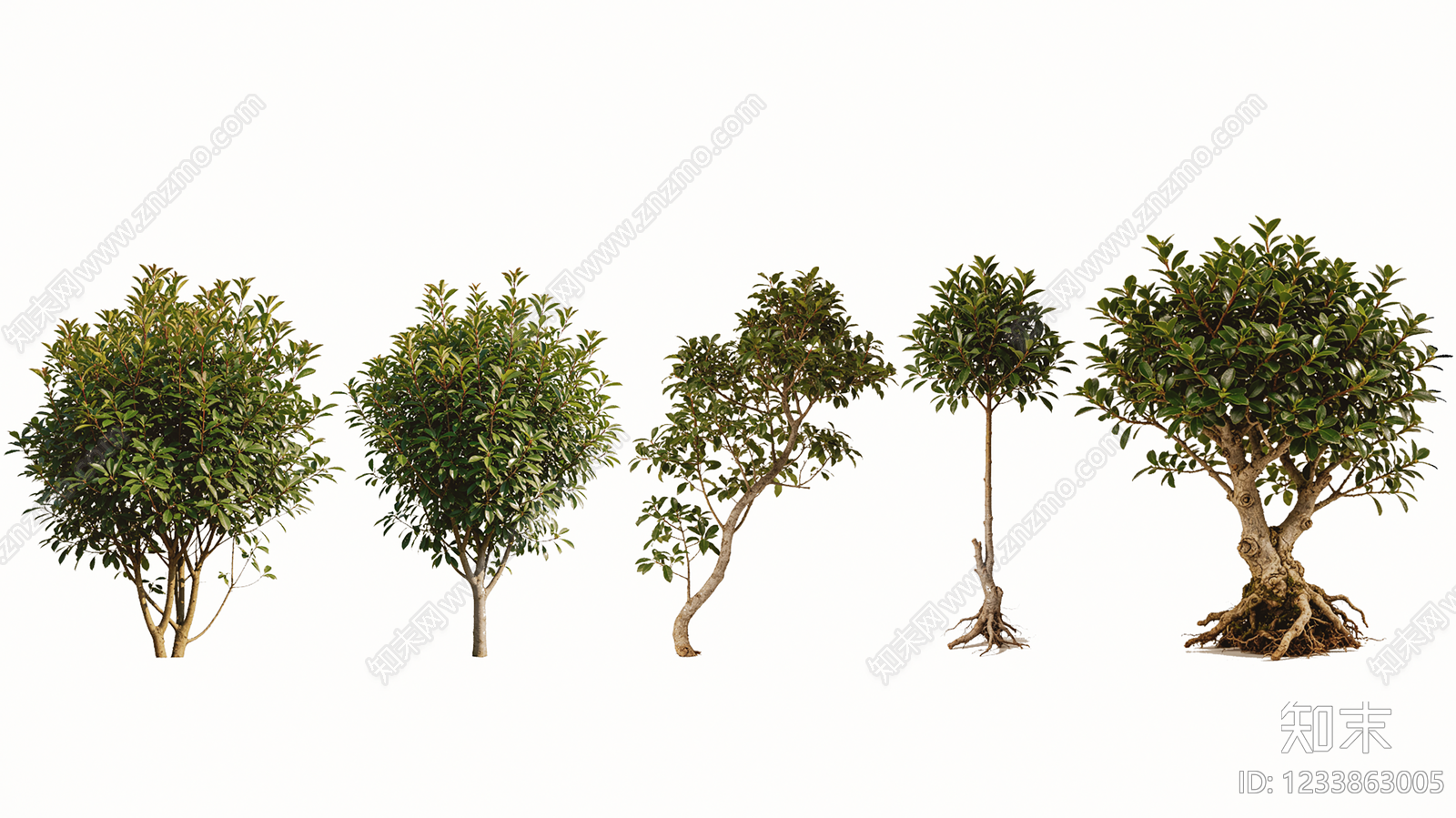 灌木SU模型下载【ID:1233863005】