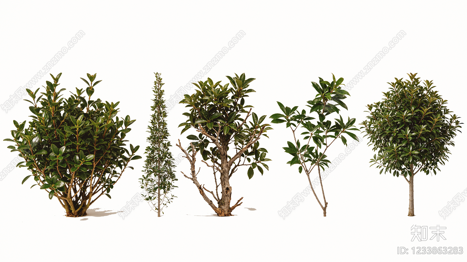 植物组合SU模型下载【ID:1233863283】