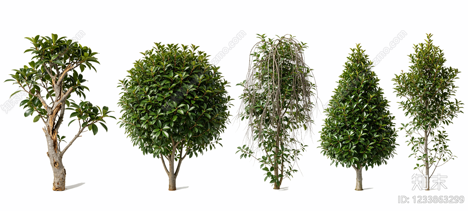 乔木SU模型下载【ID:1233863299】