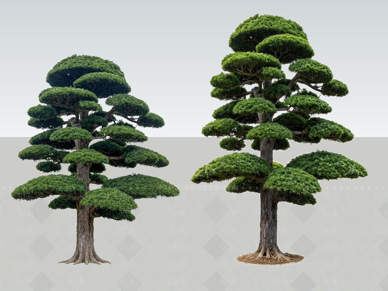 日式乔木SU模型下载【ID:1233868016】
