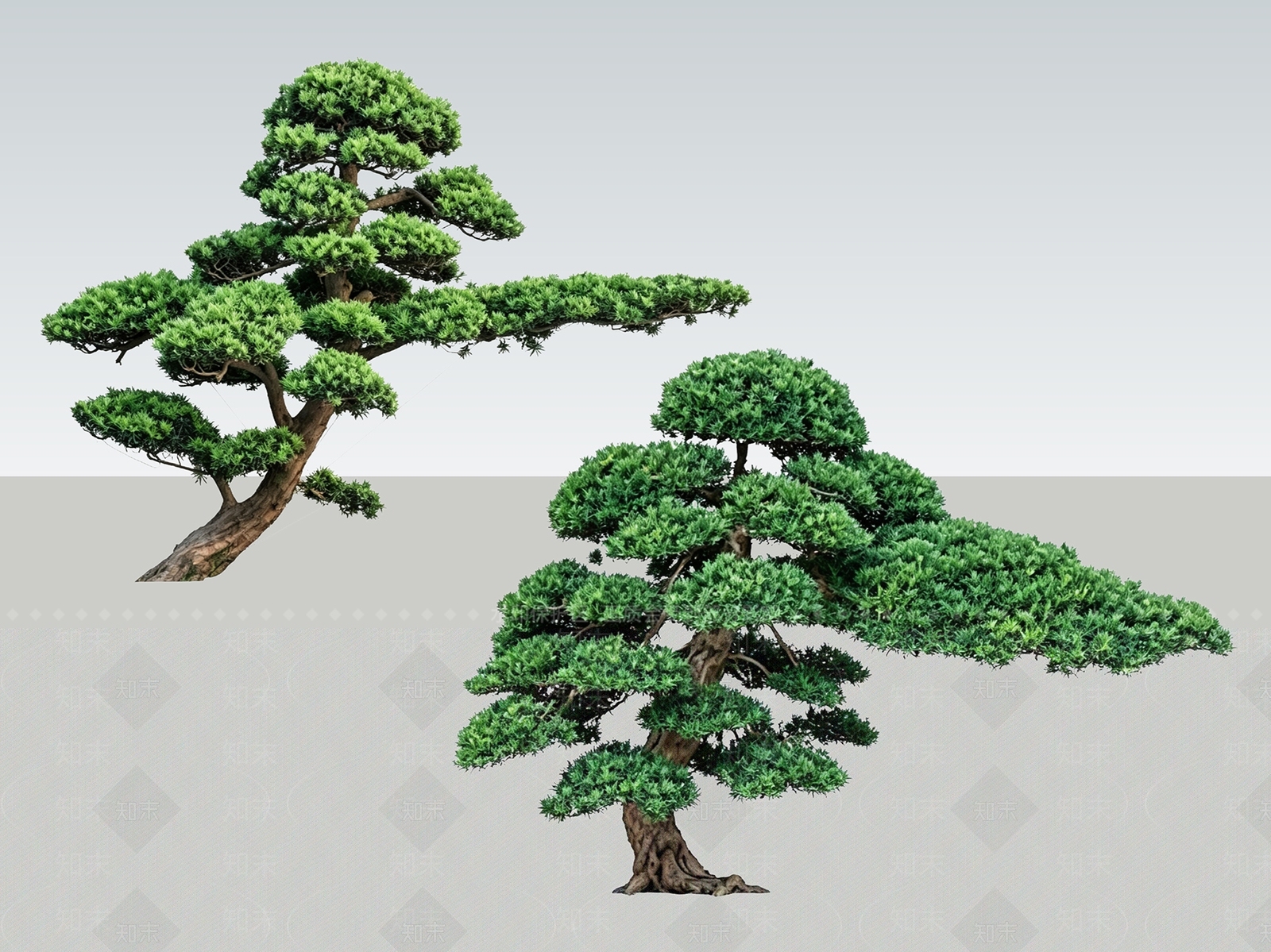禅意盆栽SU模型下载【ID:1233878280】